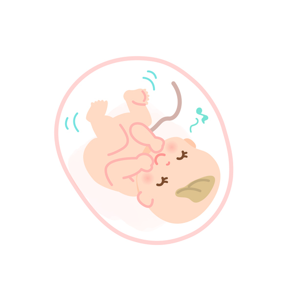 태아 시기와 어린이 시기 안내 이미지